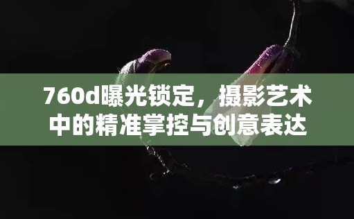 760d曝光鎖定，攝影藝術(shù)中的精準掌控與創(chuàng)意表達