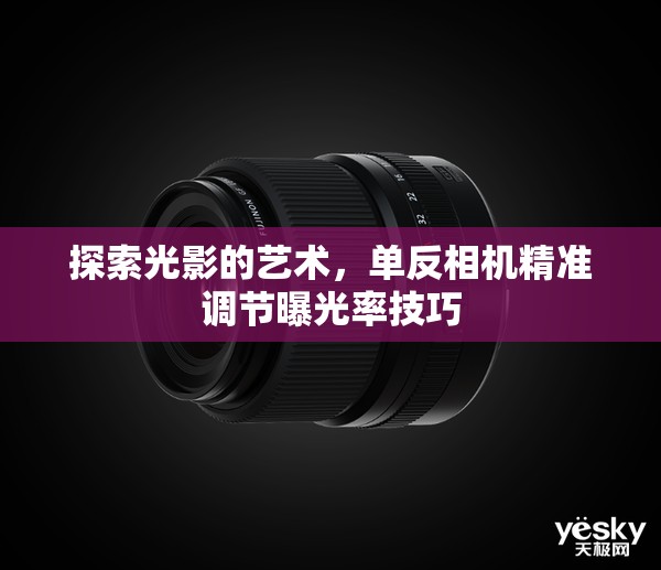 探索光影的藝術(shù)，單反相機精準調(diào)節(jié)曝光率技巧