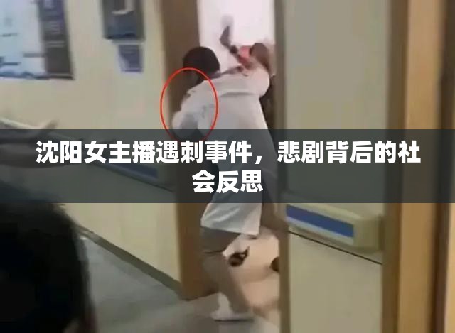 沈陽(yáng)女主播遇刺事件，悲劇背后的社會(huì)反思