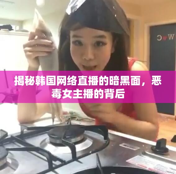 揭秘韓國(guó)網(wǎng)絡(luò)直播的暗黑面，惡毒女主播的背后