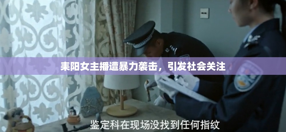耒陽女主播遭暴力襲擊，引發(fā)社會關(guān)注