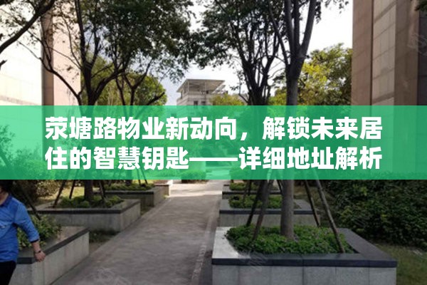 滎塘路物業(yè)新動向，解鎖未來居住的智慧鑰匙——詳細地址解析與最新消息