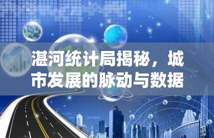 湛河統(tǒng)計局揭秘，城市發(fā)展的脈動與數(shù)據(jù)洞察
