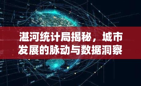 湛河統(tǒng)計局揭秘，城市發(fā)展的脈動與數(shù)據(jù)洞察