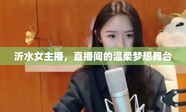沂水女主播，直播間的溫柔夢想舞臺(tái)