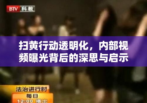 掃黃行動(dòng)透明化，內(nèi)部視頻曝光背后的深思與啟示