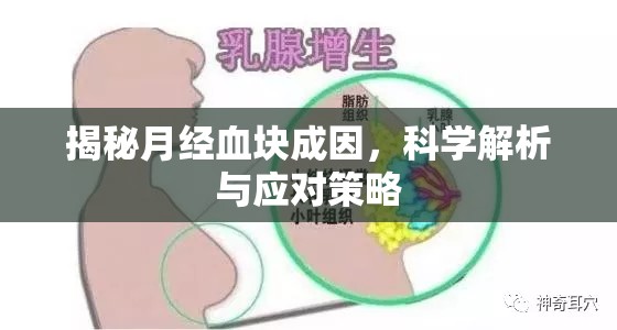 揭秘月經(jīng)血塊成因，科學(xué)解析與應(yīng)對策略