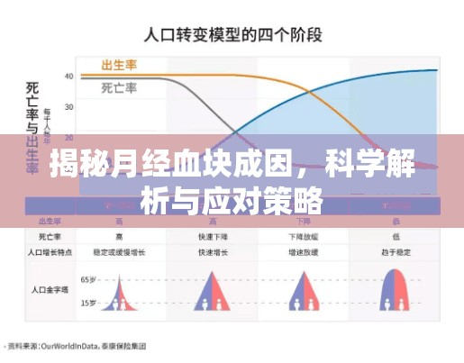 揭秘月經(jīng)血塊成因，科學(xué)解析與應(yīng)對策略