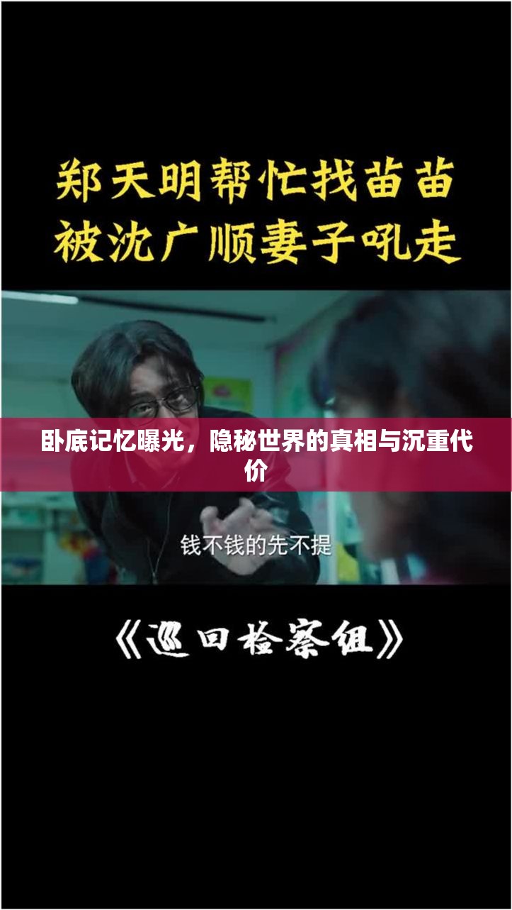 臥底記憶曝光，隱秘世界的真相與沉重代價(jià)