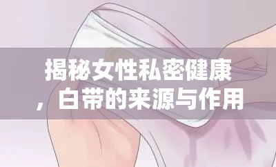 揭秘女性私密健康，白帶的來源與作用