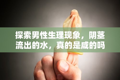 探索男性生理現(xiàn)象，陰莖流出的水，真的是咸的嗎？