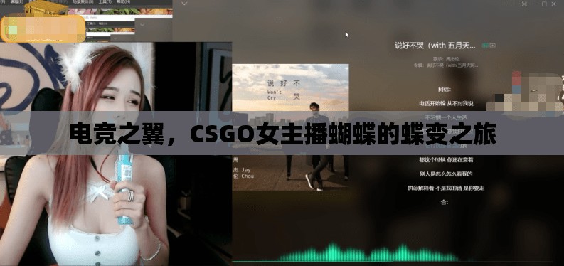 電競(jìng)之翼，CSGO女主播蝴蝶的蝶變之旅