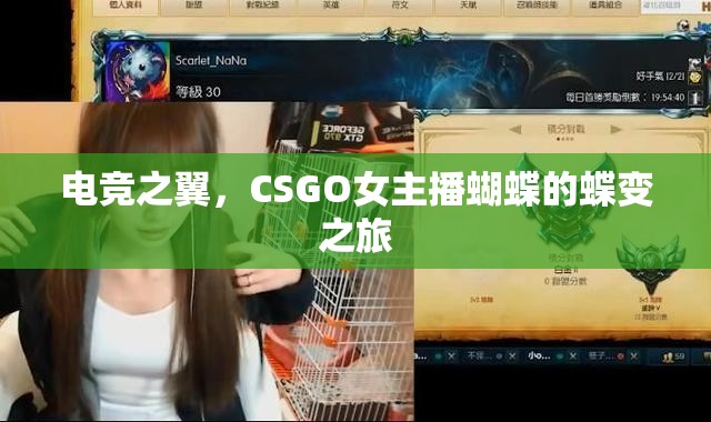 電競(jìng)之翼，CSGO女主播蝴蝶的蝶變之旅