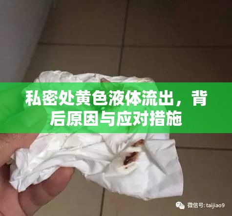 私密處黃色液體流出，背后原因與應(yīng)對(duì)措施