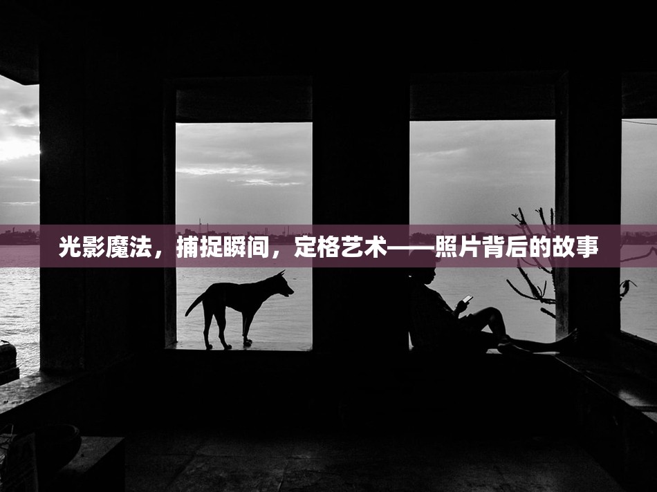 光影魔法，捕捉瞬間，定格藝術(shù)——照片背后的故事