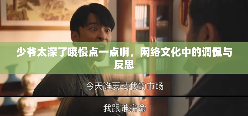 少爺太深了哦慢點一點啊，網(wǎng)絡(luò)文化中的調(diào)侃與反思