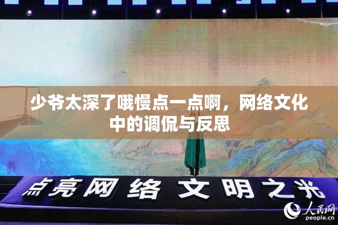 少爺太深了哦慢點一點啊，網(wǎng)絡(luò)文化中的調(diào)侃與反思