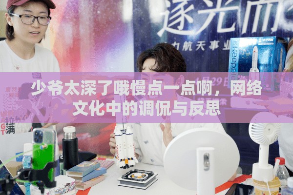 少爺太深了哦慢點一點啊，網(wǎng)絡(luò)文化中的調(diào)侃與反思