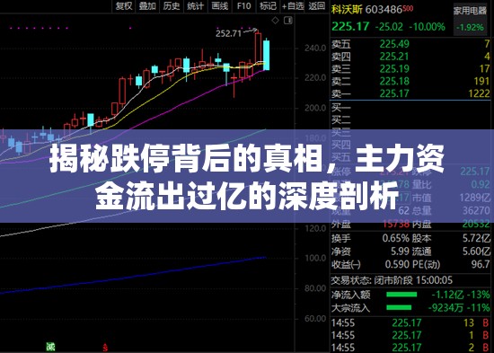 揭秘跌停背后的真相，主力資金流出過億的深度剖析