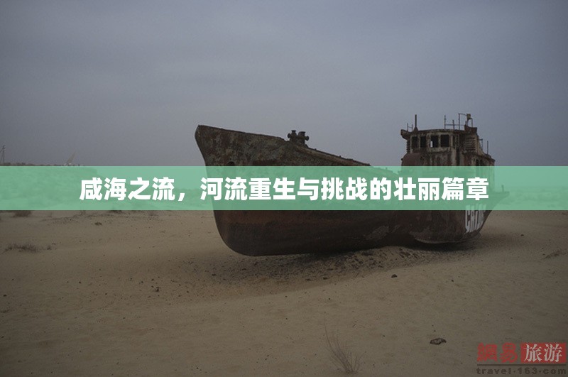 咸海之流，河流重生與挑戰(zhàn)的壯麗篇章