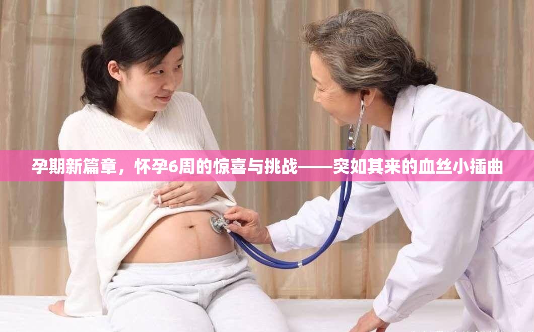 孕期新篇章，懷孕6周的驚喜與挑戰(zhàn)——突如其來(lái)的血絲小插曲