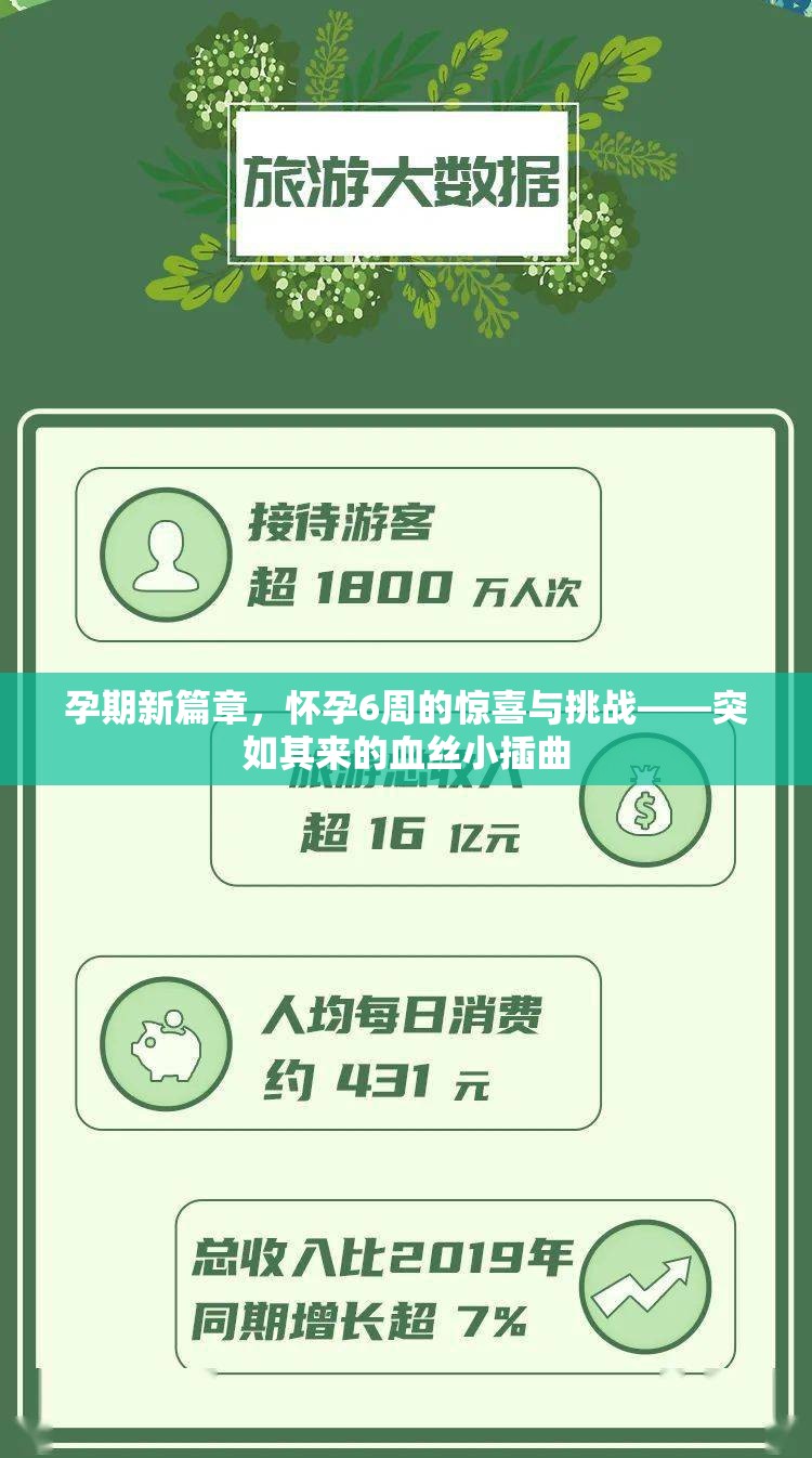 孕期新篇章，懷孕6周的驚喜與挑戰(zhàn)——突如其來(lái)的血絲小插曲