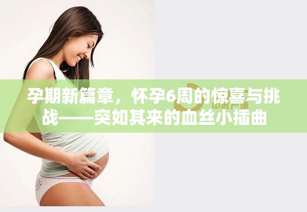 孕期新篇章，懷孕6周的驚喜與挑戰(zhàn)——突如其來(lái)的血絲小插曲