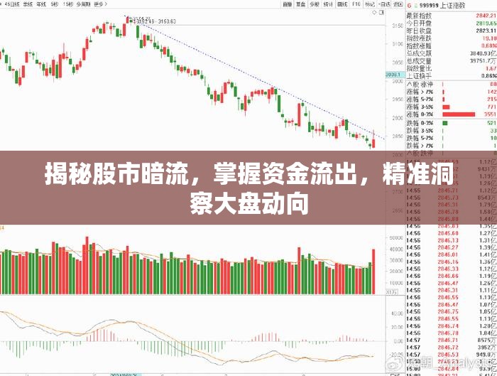 揭秘股市暗流，掌握資金流出，精準(zhǔn)洞察大盤動(dòng)向