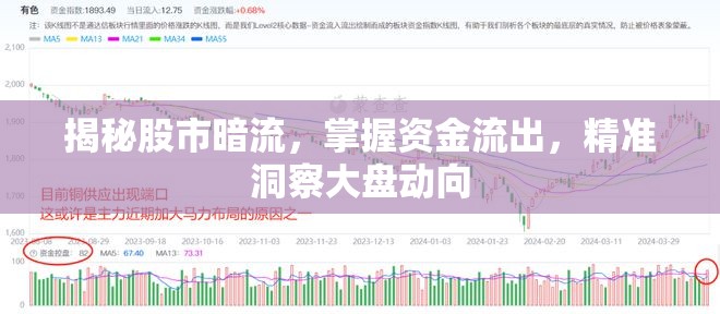 揭秘股市暗流，掌握資金流出，精準(zhǔn)洞察大盤動(dòng)向