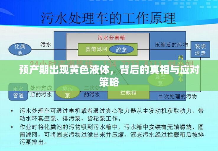 預(yù)產(chǎn)期出現(xiàn)黃色液體，背后的真相與應(yīng)對策略