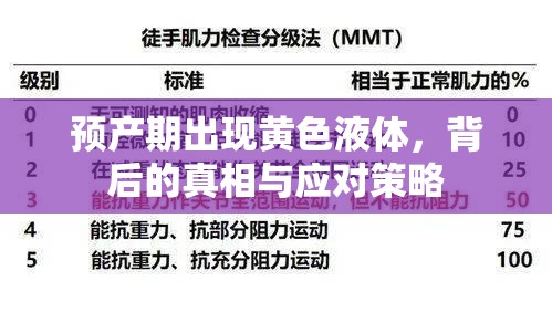 預(yù)產(chǎn)期出現(xiàn)黃色液體，背后的真相與應(yīng)對策略