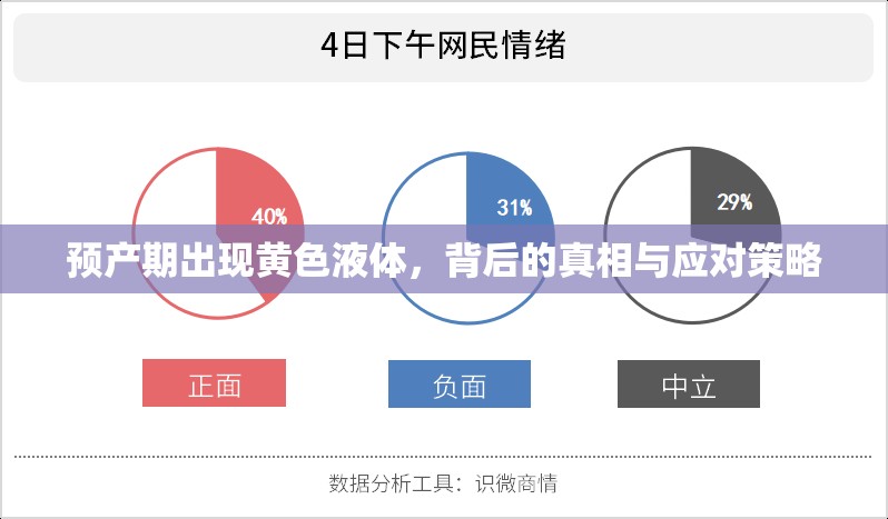 預(yù)產(chǎn)期出現(xiàn)黃色液體，背后的真相與應(yīng)對策略