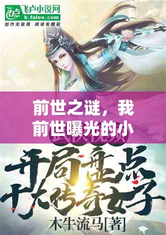 前世之謎，我前世曝光的小說