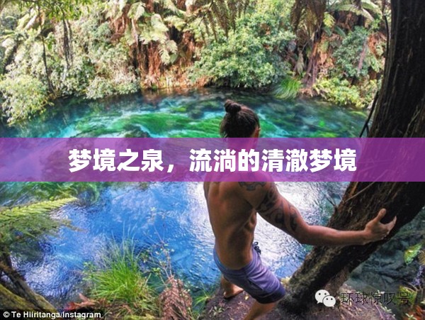 夢(mèng)境之泉，流淌的清澈夢(mèng)境