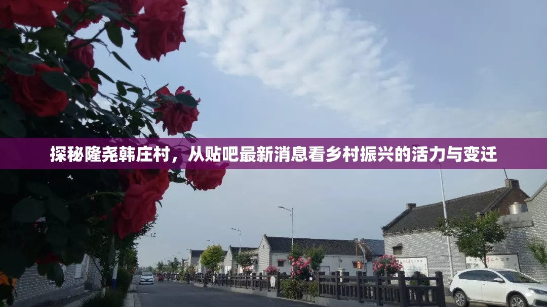 探秘隆堯韓莊村，從貼吧最新消息看鄉(xiāng)村振興的活力與變遷