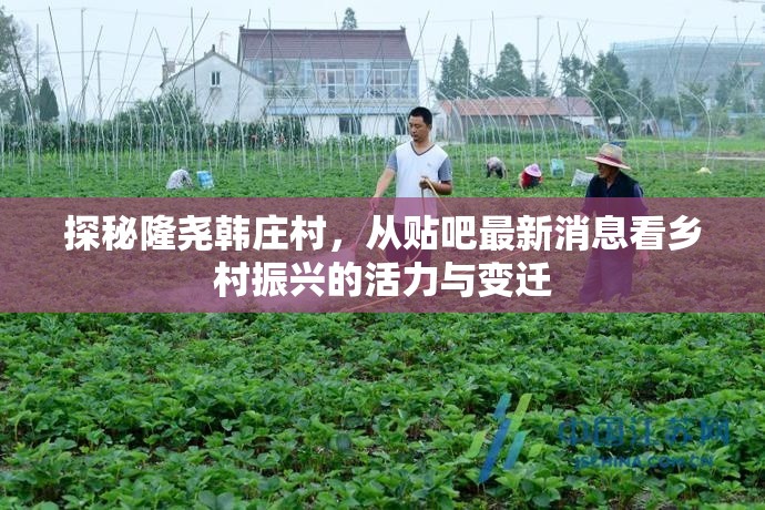 探秘隆堯韓莊村，從貼吧最新消息看鄉(xiāng)村振興的活力與變遷