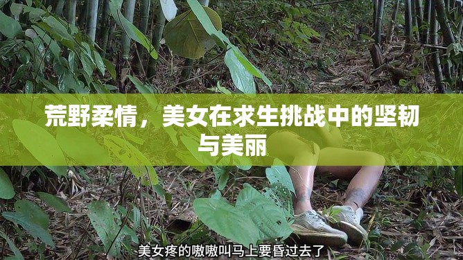 荒野柔情，美女在求生挑戰(zhàn)中的堅(jiān)韌與美麗