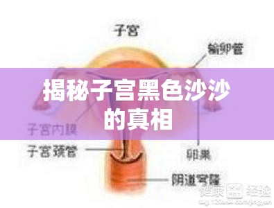 揭秘子宮黑色沙沙的真相