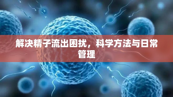 解決精子流出困擾，科學(xué)方法與日常管理
