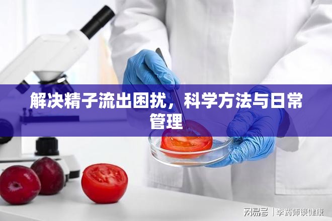 解決精子流出困擾，科學(xué)方法與日常管理