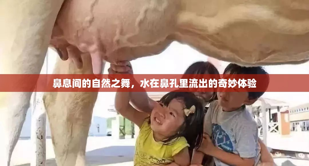 鼻息間的自然之舞，水在鼻孔里流出的奇妙體驗(yàn)