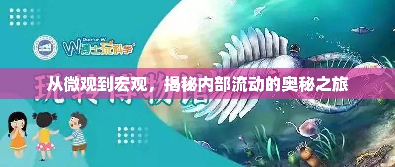 從微觀到宏觀，揭秘內(nèi)部流動(dòng)的奧秘之旅