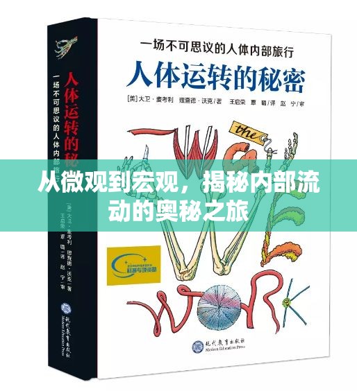 從微觀到宏觀，揭秘內(nèi)部流動(dòng)的奧秘之旅