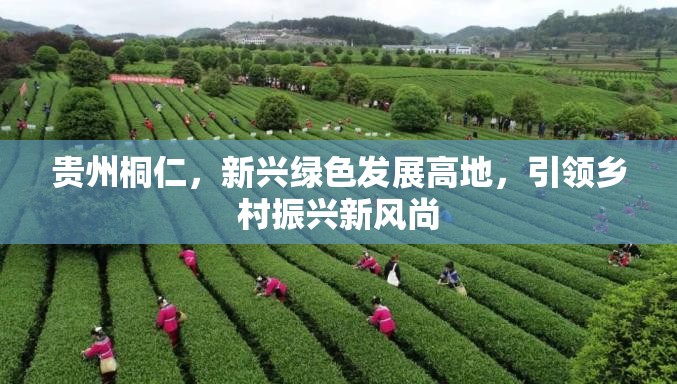 貴州桐仁，新興綠色發(fā)展高地，引領(lǐng)鄉(xiāng)村振興新風(fēng)尚