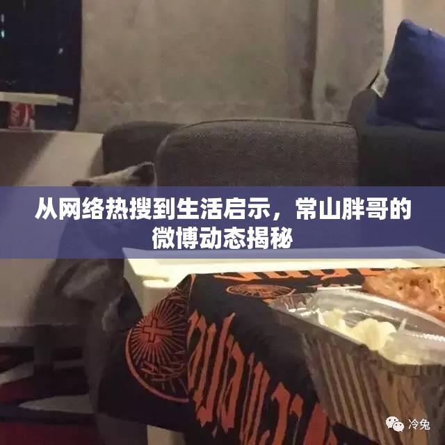 從網(wǎng)絡熱搜到生活啟示，常山胖哥的微博動態(tài)揭秘