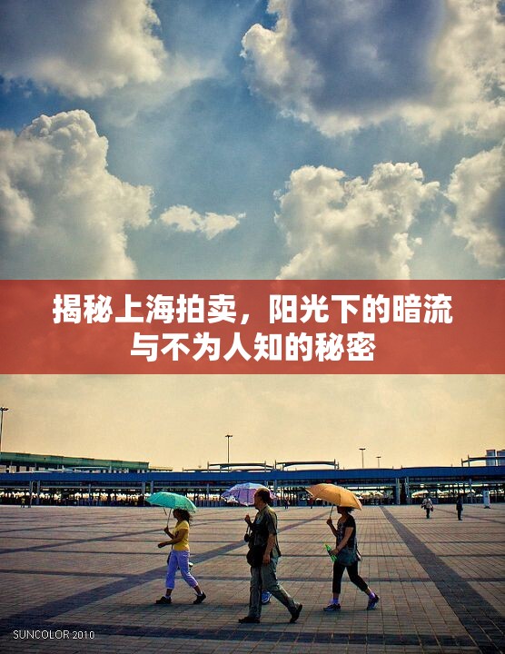 揭秘上海拍賣，陽(yáng)光下的暗流與不為人知的秘密