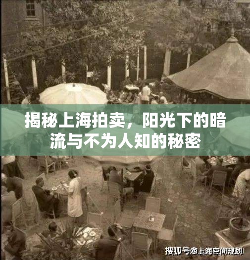 揭秘上海拍賣，陽(yáng)光下的暗流與不為人知的秘密