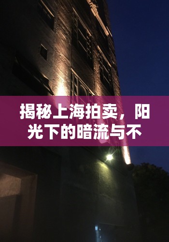 揭秘上海拍賣，陽(yáng)光下的暗流與不為人知的秘密