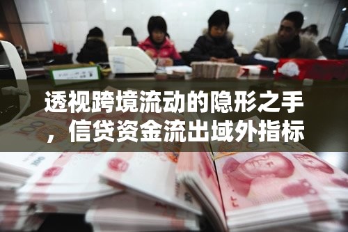 透視跨境流動(dòng)的隱形之手，信貸資金流出域外指標(biāo)分析