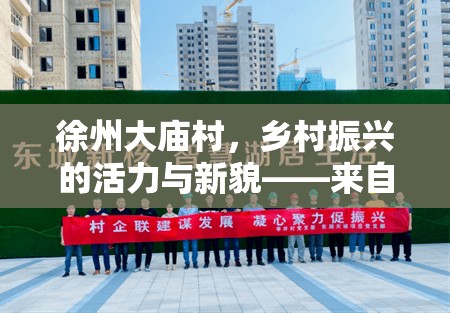 徐州大廟村，鄉(xiāng)村振興的活力與新貌——來自徐州大廟村貼吧的最新消息